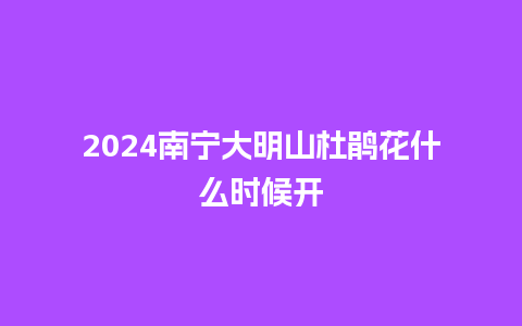 2024南宁大明山杜鹃花什么时候开