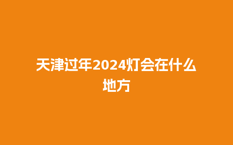 天津过年2024灯会在什么地方