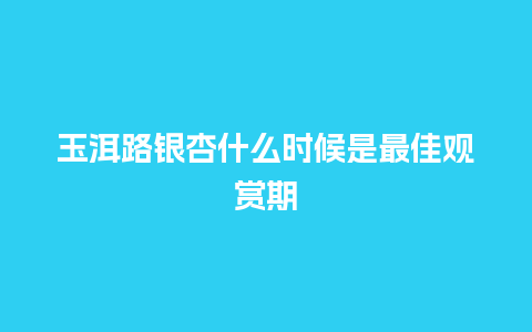 玉洱路银杏什么时候是最佳观赏期