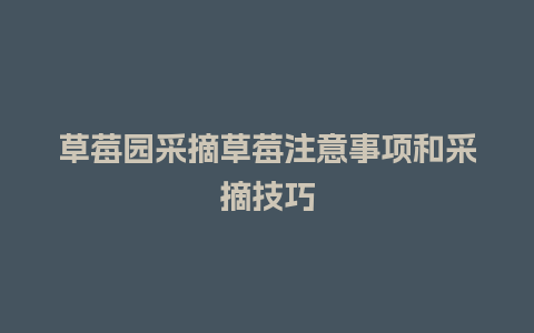 草莓园采摘草莓注意事项和采摘技巧