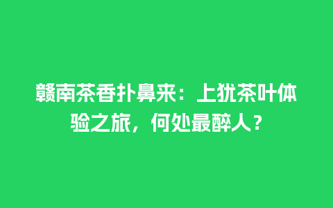 赣南茶香扑鼻来：上犹茶叶体验之旅，何处最醉人？