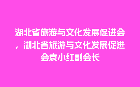 湖北省旅游与文化发展促进会，湖北省旅游与文化发展促进会袁小红副会长