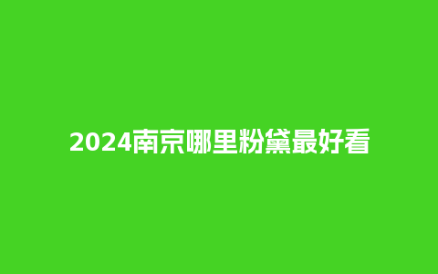 2024南京哪里粉黛最好看