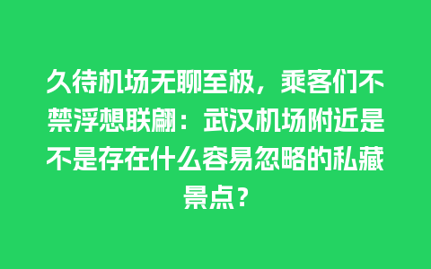 久待机场无聊至极，乘客们不禁浮想联翩：武汉机场附近是不是存在什么容易忽略的私藏景点？