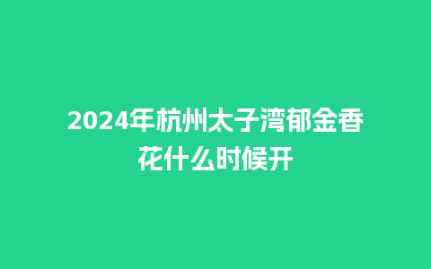 2024年杭州太子湾郁金香花什么时候开