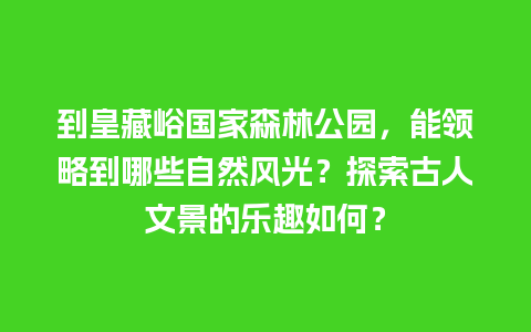 到皇藏峪国家森林公园，能领略到哪些自然风光？探索古人文景的乐趣如何？