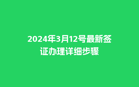 2024年3月12号最新签证办理详细步骤