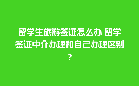 留学生旅游签证怎么办 留学签证中介办理和自己办理区别？