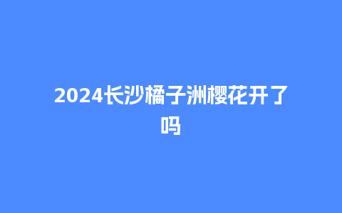 2024长沙橘子洲樱花开了吗