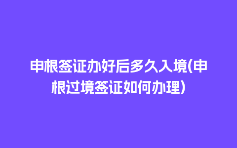 申根签证办好后多久入境(申根过境签证如何办理)