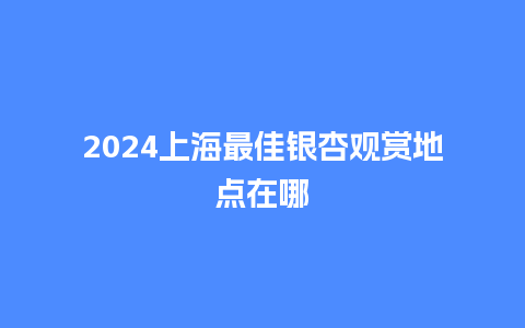 2024上海最佳银杏观赏地点在哪