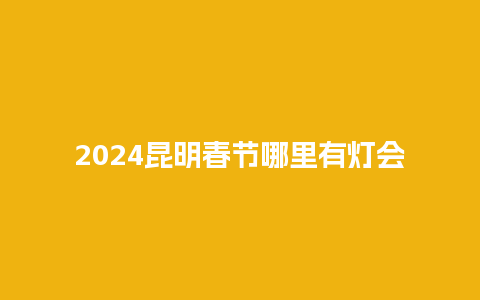 2024昆明春节哪里有灯会