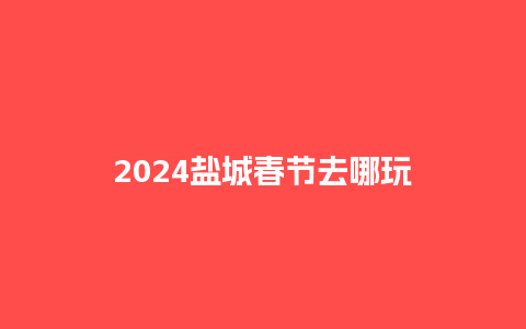 2024盐城春节去哪玩