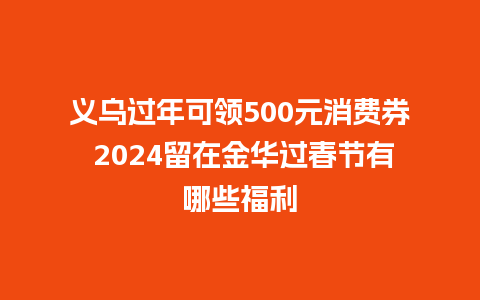 义乌过年可领500元消费券 2024留在金华过春节有哪些福利