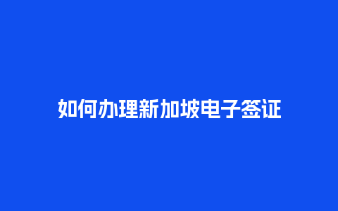 如何办理新加坡电子签证