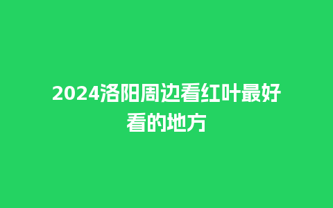 2024洛阳周边看红叶最好看的地方