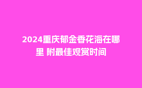 2024重庆郁金香花海在哪里 附最佳观赏时间