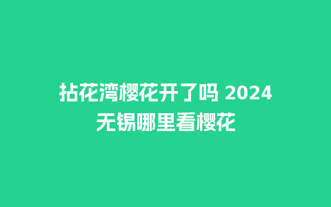 拈花湾樱花开了吗 2024无锡哪里看樱花