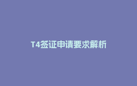 T4签证申请要求解析