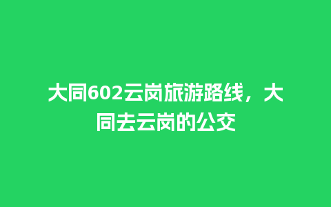 大同602云岗旅游路线，大同去云岗的公交