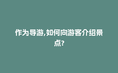 作为导游,如何向游客介绍景点?