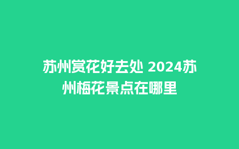 苏州赏花好去处 2024苏州梅花景点在哪里