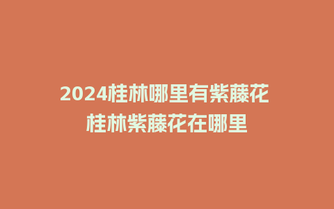 2024桂林哪里有紫藤花 桂林紫藤花在哪里