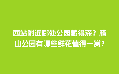 西站附近哪处公园藏得深？腊山公园有哪些鲜花值得一赏？