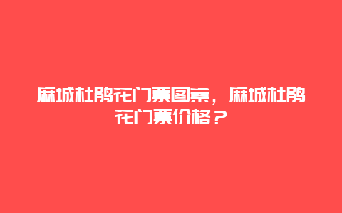 麻城杜鹃花门票图案，麻城杜鹃花门票价格？