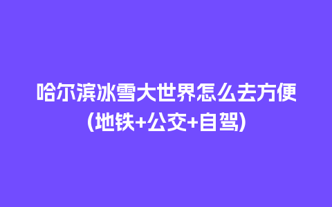 哈尔滨冰雪大世界怎么去方便(地铁+公交+自驾)