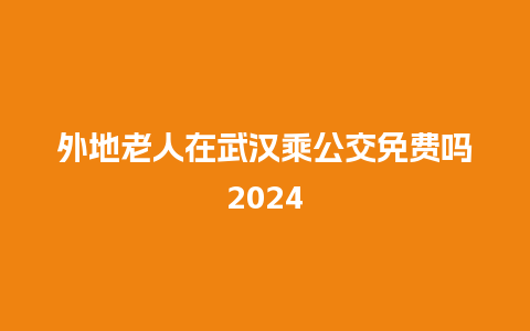 外地老人在武汉乘公交免费吗2024