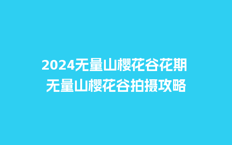 2024无量山樱花谷花期 无量山樱花谷拍摄攻略