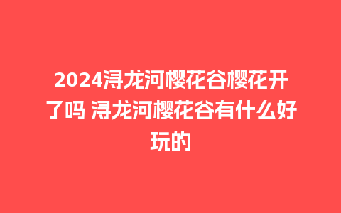 2024浔龙河樱花谷樱花开了吗 浔龙河樱花谷有什么好玩的