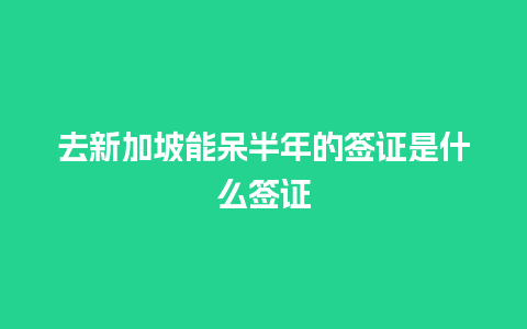 去新加坡能呆半年的签证是什么签证