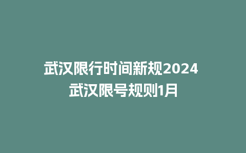 武汉限行时间新规2024 武汉限号规则1月