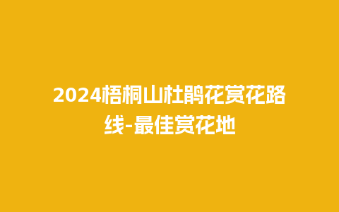 2024梧桐山杜鹃花赏花路线-最佳赏花地