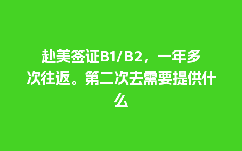 赴美签证B1/B2，一年多次往返。第二次去需要提供什么