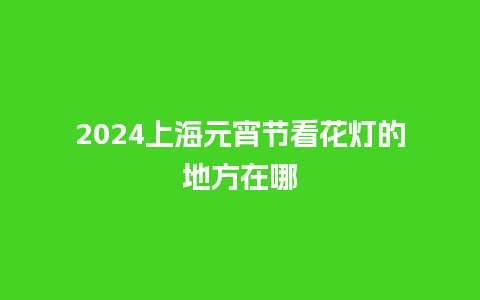 2024上海元宵节看花灯的地方在哪