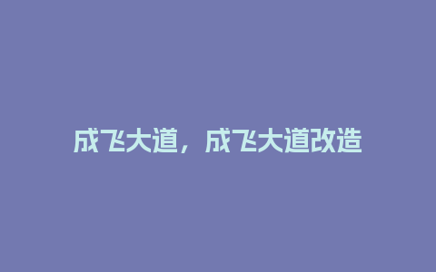 成飞大道，成飞大道改造