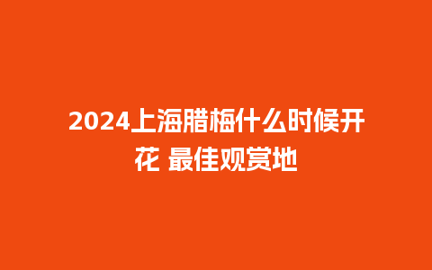 2024上海腊梅什么时候开花 最佳观赏地