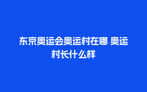 东京奥运会奥运村在哪 奥运村长什么样