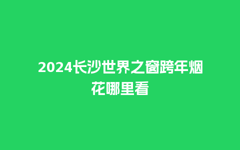 2024长沙世界之窗跨年烟花哪里看