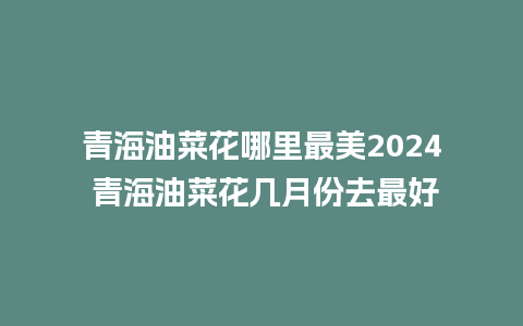 青海油菜花哪里最美2024 青海油菜花几月份去最好