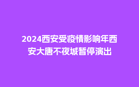 2024西安受疫情影响年西安大唐不夜城暂停演出