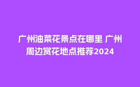 广州油菜花景点在哪里 广州周边赏花地点推荐2024