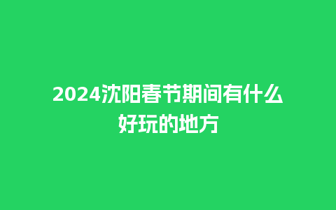 2024沈阳春节期间有什么好玩的地方