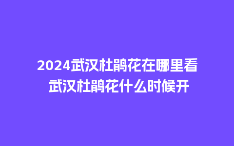 2024武汉杜鹃花在哪里看 武汉杜鹃花什么时候开