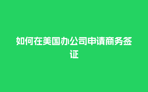 如何在美国办公司申请商务签证