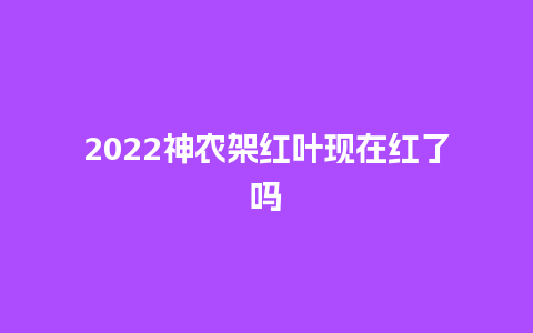 2024神农架红叶现在红了吗