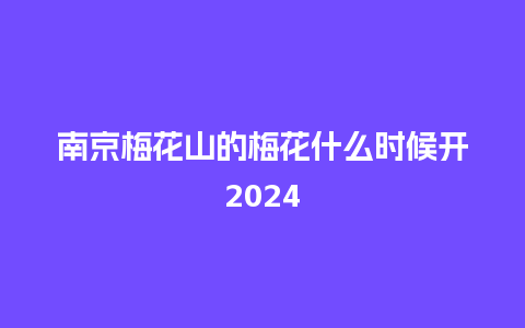 南京梅花山的梅花什么时候开2024